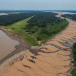 Seca extrema em lagos amazônicos causa mortalidade de botos e peixes, aponta estudo