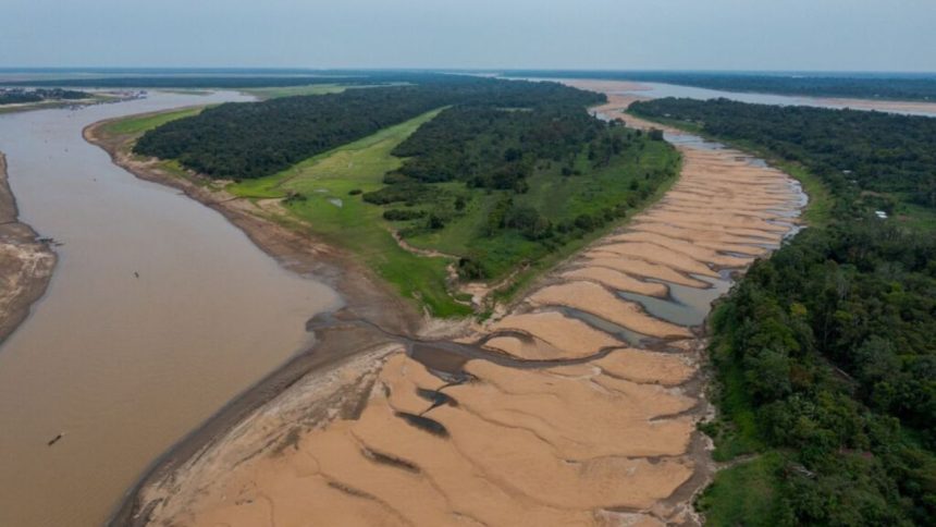 Seca extrema em lagos amazônicos causa mortalidade de botos e peixes, aponta estudo