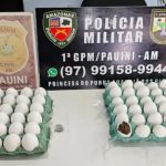 Mulher é presa ao tentar entrar em delegacia com drogas escondidas em ovos no Amazonas