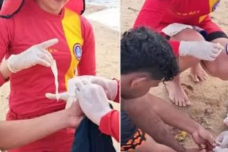 Seis pessoas são atacadas por piranhas em balneário de Manacapuru