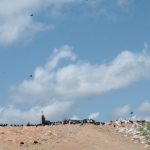 MPAM investiga lixão a céu aberto e cobra providências da Prefeitura de Tefé