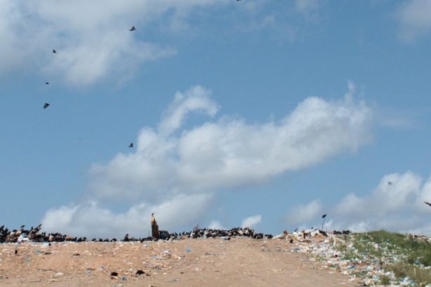 MPAM investiga lixão a céu aberto e cobra providências da Prefeitura de Tefé