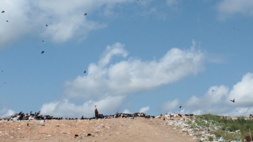 MPAM investiga lixão a céu aberto e cobra providências da Prefeitura de Tefé
