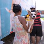 Silves recebe Castramóvel para castração gratuita de cães e gatos