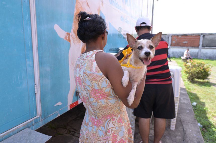 Silves recebe Castramóvel para castração gratuita de cães e gatos