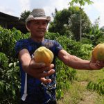 Modernização da AM-010 beneficia escoamento da produção rural no Amazonas