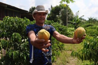 Modernização da AM-010 beneficia escoamento da produção rural no Amazonas