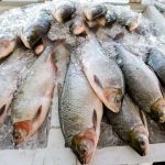 Feirão do Pescado acontece em dois pontos de Manaus