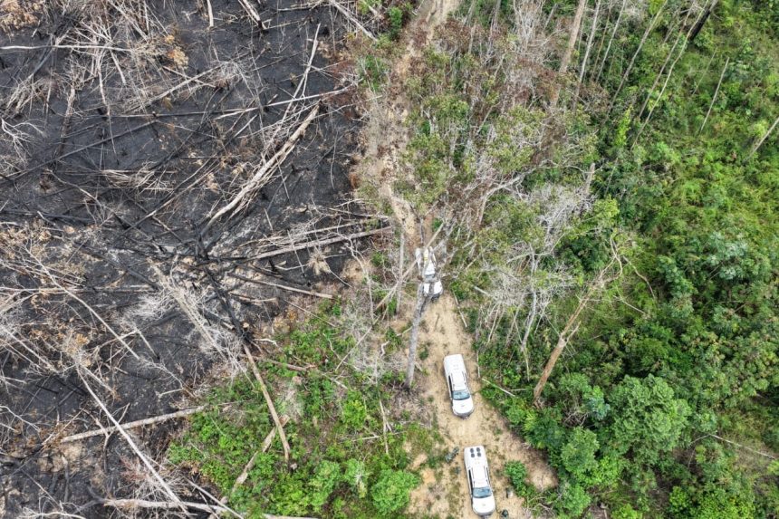 Operação aplicou mais de R$ 13 milhões em multas no Amazonas