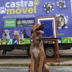 Castramóvel ganha nova unidade de atendimento veterinário