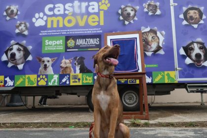 Castramóvel leva agendamento para castração no Nova Cidade