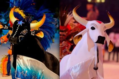 Boi-bumbá: Caprichoso e Garantido, figuras icônicas do Festival de Parintins.