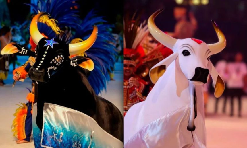 Boi-bumbá: Caprichoso e Garantido, figuras icônicas do Festival de Parintins.