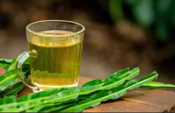 Chá de carqueja em copo de vidro com folhas verdes ao lado, em fundo desfocado. Ieal para eliminar a gordura no fígado