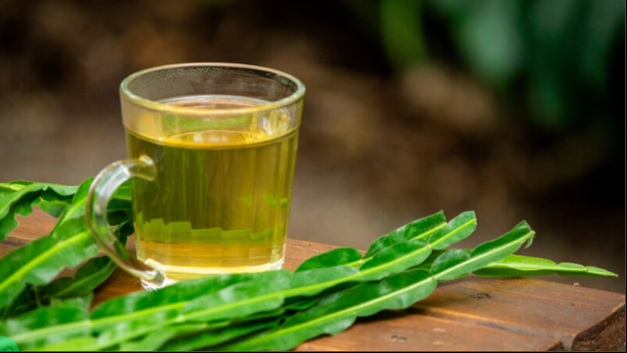 Chá de carqueja em copo de vidro com folhas verdes ao lado, em fundo desfocado. Ieal para eliminar a gordura no fígado