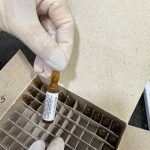 Dentista preso com medicamentos para sedação. Ampolas em caixa.