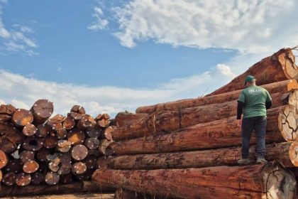Homem em uniforme verde da IPAAM sobre troncos de madeira licenciada, com céu azul e nuvens.