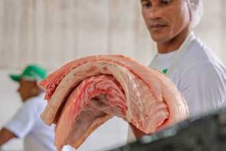 Homem segura grandes pedaços de pirarucu, peixe de água doce.
