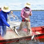 Começa atendimento para seguro-defeso retroativo no Amazonas