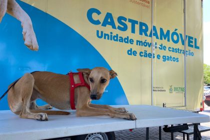 Lago Azul receberá agendamento para castração de cães e gatos