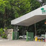 INPA selecionando bolsista para atuar como Bioinformata; remuneração de R$ 5,2 mil