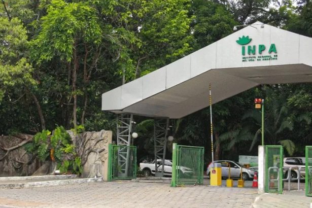 INPA selecionando bolsista para atuar como Bioinformata; remuneração de R$ 5,2 mil