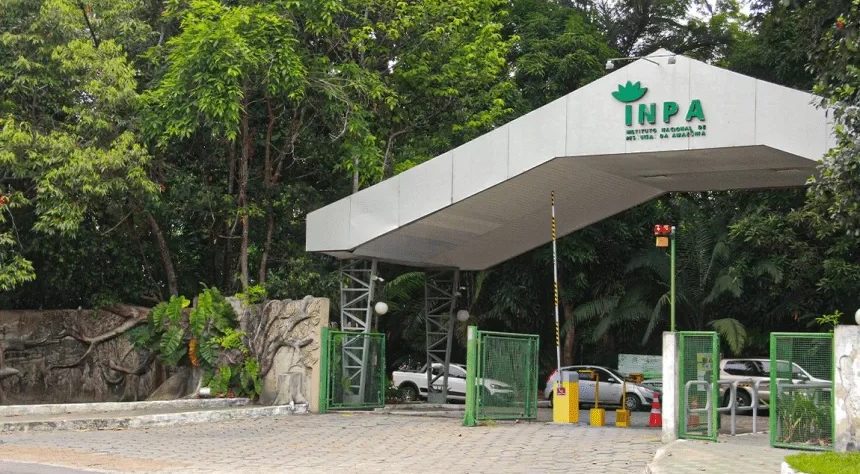 INPA selecionando bolsista para atuar como Bioinformata; remuneração de R$ 5,2 mil