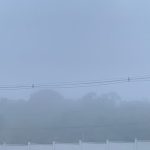 Neblina densa em Manaus, dificultando a visibilidade e o tráfego.