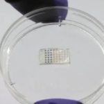 Adesivo cardíaco com estrutura retangular contendo pequenos quadrados coloridos, um dispositivo médico.