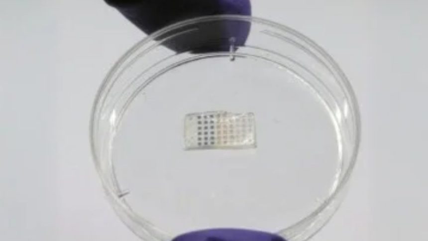 Adesivo cardíaco com estrutura retangular contendo pequenos quadrados coloridos, um dispositivo médico.