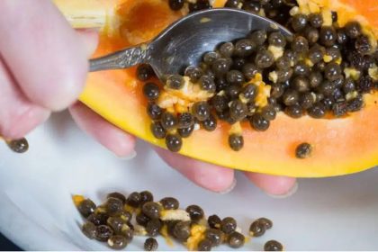 Removendo sementes de mamão com colher. Fruta cortada e sementes em tigela.