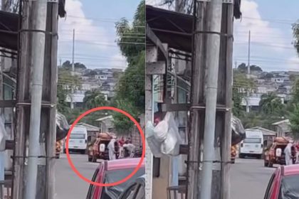 Veículos em rua, possivelmente no bairro Mutirão, com foco em incidente envolvendo abelhas.