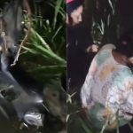 Caminhão atinge motocicleta na AM-010 e deixa duas pessoas feridas