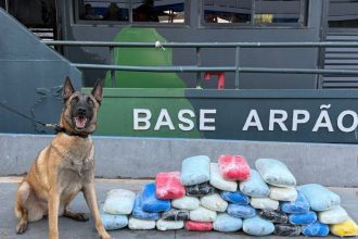 Drogas avaliadas em R$ 800 mil são apreendidas em embarcação no Amazonas