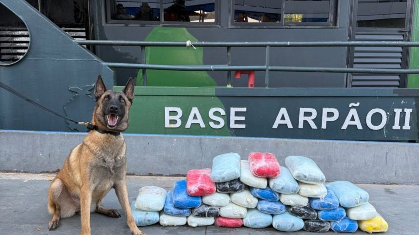 Drogas avaliadas em R$ 800 mil são apreendidas em embarcação no Amazonas