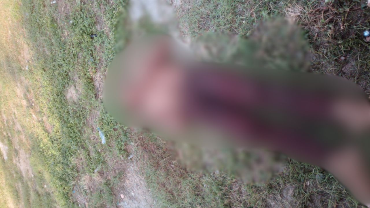 Corpo com sinais de agressão é encontrado em terreno na zona leste de Manaus