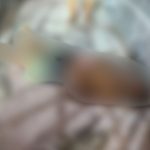 Homem é esfaqueado após briga durante jogo de futebol na zona sul de Manaus