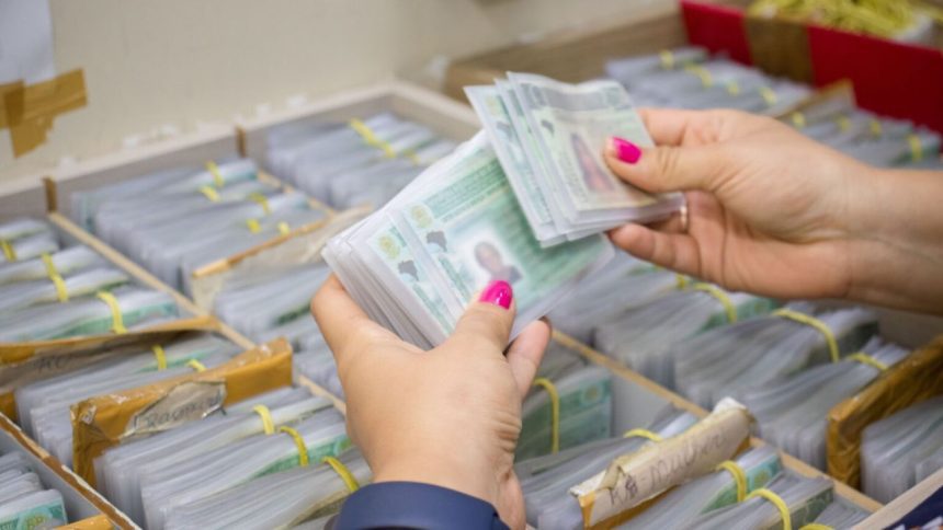 Detran-AM interrompe serviços de habilitação para atualização do sistema da CNH