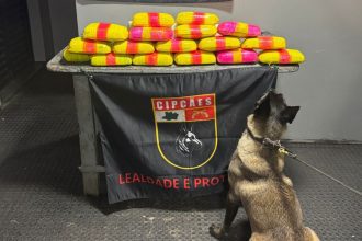 Polícia apreende 20 kg de droga dentro de bote acoplado a uma embarcação no AM
