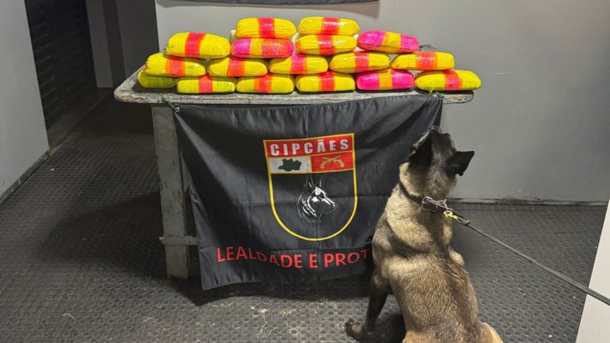 Polícia apreende 20 kg de droga dentro de bote acoplado a uma embarcação no AM