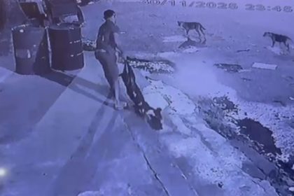 Homem é preso após agredir cachorro até a morte no Amazonas