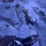 Homem que matou cachorro no AM fazia uso de drogas e sofria alucinações, diz delegado