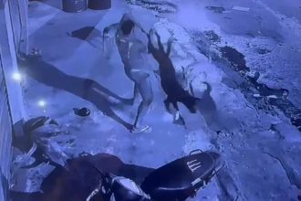 Homem que matou cachorro no AM fazia uso de drogas e sofria alucinações, diz delegado