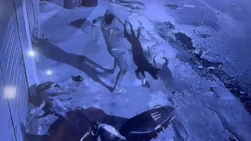 Homem que matou cachorro no AM fazia uso de drogas e sofria alucinações, diz delegado