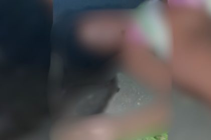 Mulher é encontrada morta e seminua embaixo de micro-ônibus no Amazonas