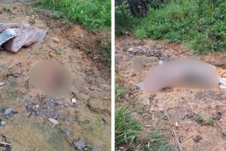 Jovem é encontrado decapitado em área de mata na zona oeste de Manaus