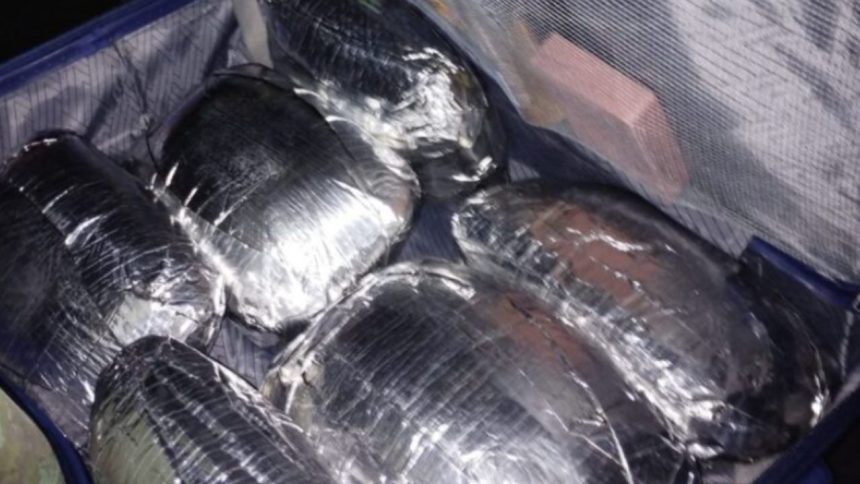 'Mula' é presa em Manaus com cocaína escondida em mala disfarçada com café