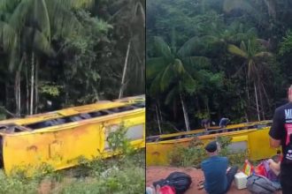 Ônibus tomba duas vezes e cai próximo a rio na BR-319