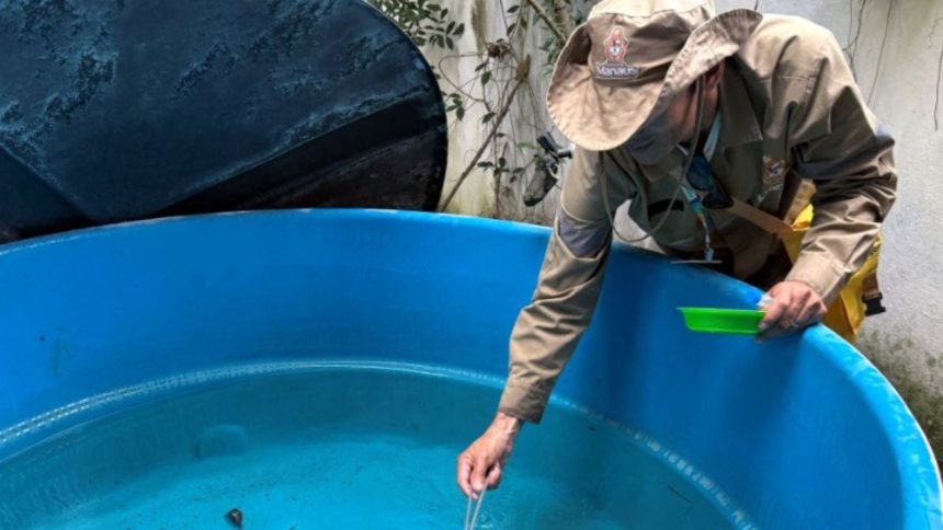 Seis bairros de Manaus apresentam alto índice de infestação do Aedes aegypti