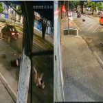 Casal em motocicleta é atropelado por carro na contramão em avenida de Manaus